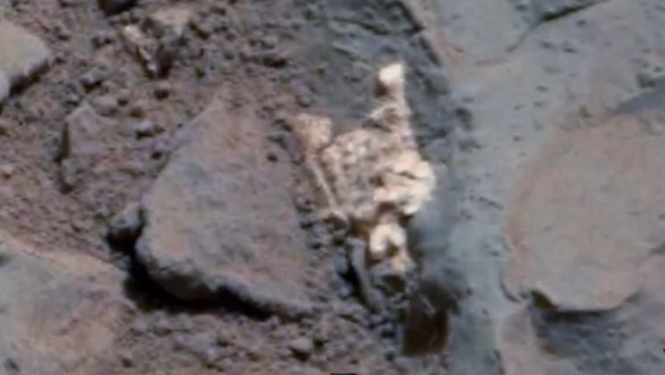 Des ossements humains retrouvés sur Mars - Sputnik Afrique