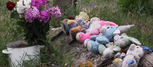 Место крушения Boeing 777 малайзийских авиалиний - Sputnik Afrique