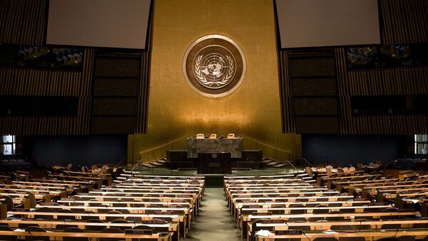 L'Assemblée générale de l'ONU - Sputnik Afrique