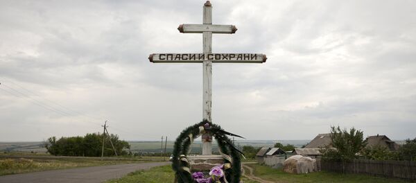 Downed Malaysia Airlines flight MH17, near the village of Hrabove (Grabovo) in Donetsk region, eastern Ukraine, July 14, 2015 - Sputnik Afrique