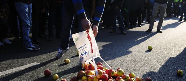 Polish farmers and horticulturists protest in Warsaw - Sputnik Afrique