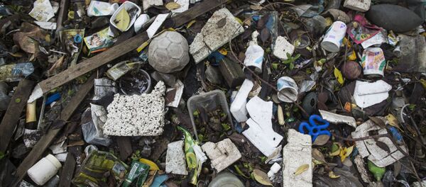 Le Liban se lance dans l'exportation de déchets - Sputnik Afrique