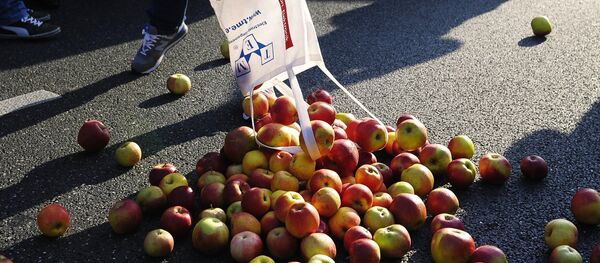 Акция протеста фермеров и садоводов Польши прошла в Варшаве Акция протеста фермеров и садоводов Польши прошла в Варшаве - Sputnik Afrique