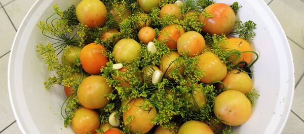 Переработка овощей в женской колонии в Челябинске - Sputnik Afrique