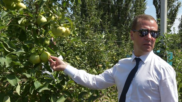 Рабочая поездка премьер-министра РФ Д.Медведева в Южный федеральный округ - Sputnik Afrique