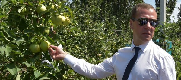 Рабочая поездка премьер-министра РФ Д.Медведева в Южный федеральный округ - Sputnik Afrique