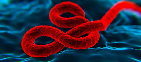 Le virus d'Ebola - Sputnik Afrique