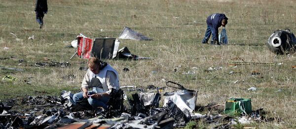 Lieux du crash du MH-17 - Sputnik Afrique