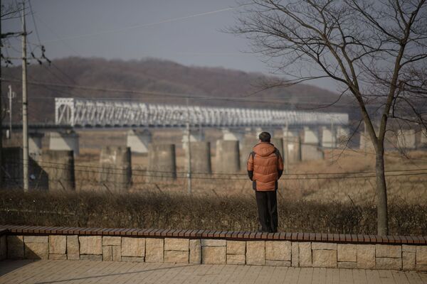 A man stands facing towards North Korea at Imjingak park, south of the Military Demarcation Line and Demilitarized Zone (DMZ) separating North and South Korea, on February 19, 2015. - Sputnik Afrique