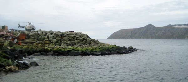 Petite Diomède, Alaska, Etats-Unis - Sputnik Afrique