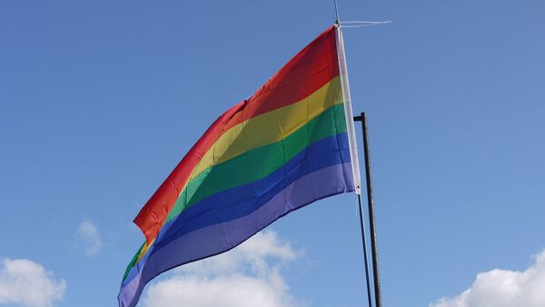 drapeau LGBT - Sputnik Afrique