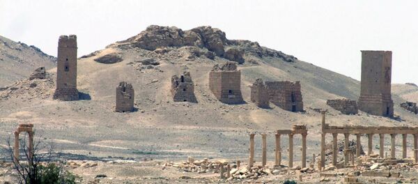 Palmyre - Sputnik Afrique