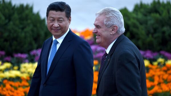 Xi Jinping et Miloš Zeman. Archive photo - Sputnik Afrique