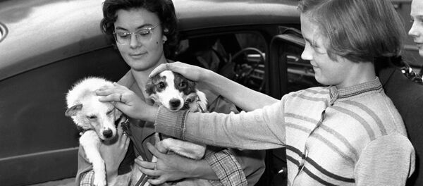 Девочка гладит советских собак-космонавтов Белку и Стрелку - Sputnik Afrique