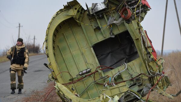 Un expert néerlandais travaillant sur le lieu du crash du Boeing malaisien en Ukraine - Sputnik Afrique