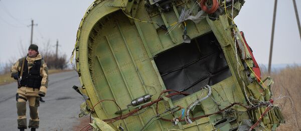 Un expert néerlandais travaillant sur le lieu du crash du Boeing malaisien en Ukraine - Sputnik Afrique