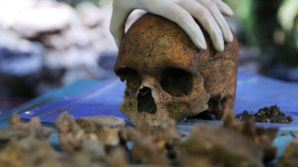 Les crânes humains ne sont plus en vente sur eBay - Sputnik Afrique