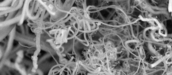 Nanofibre de carbone  (Image: Stuart Licht) - Sputnik Afrique