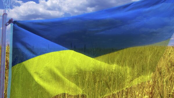 Le drapeau ukrainien - Sputnik Afrique