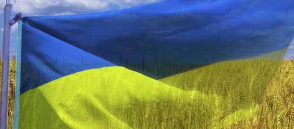 Le drapeau ukrainien Le drapeau ukrainien - Sputnik Afrique