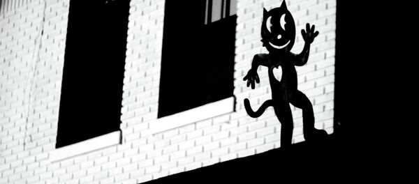 the cat burglar - Sputnik Afrique