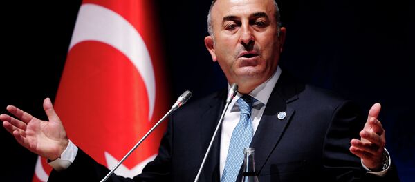 Mevlut Cavusoglu - Sputnik Afrique