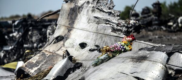 Site du crash du Boeing malaisien en Ukraine - Sputnik Afrique