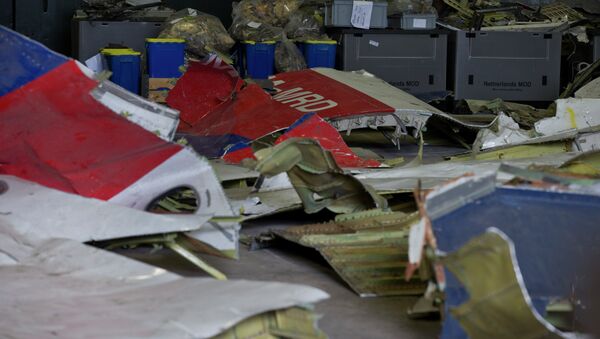 Fragments du Boeing malaisien abattu en Ukraine - Sputnik Afrique