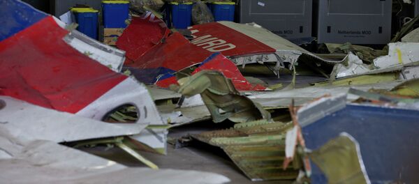 Fragments du Boeing malaisien abattu en Ukraine - Sputnik Afrique