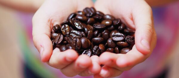 Grains de café - Sputnik Afrique