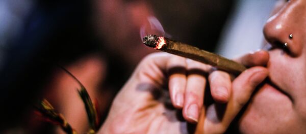 Cannabis - Sputnik Afrique
