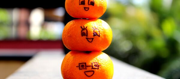 Nourriture du bonheur - Sputnik Afrique