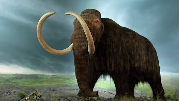 Mammoth of BC - Sputnik Afrique