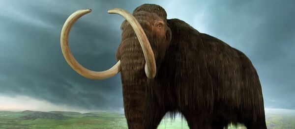 Le mammouth - Sputnik Afrique
