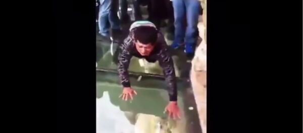 Le chemin de la peur à quatre pattes Le chemin de la peur à quatre pattes - Sputnik Afrique