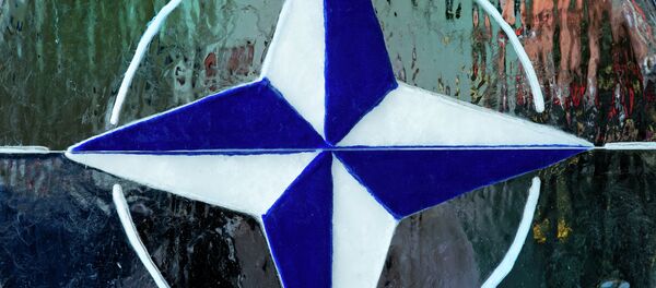 A melting ice sculpture with the NATO/OTAN logo is seen in the reception area for ceremonies at the NATO Supreme Allied Commander Transformation Change of Command Ceremony September 28, 2012 - Sputnik Afrique