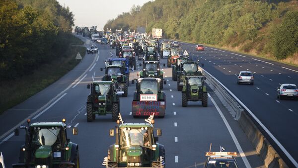 Les tracteurs affluent vers Paris pour la manifestation - Sputnik Afrique