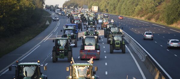 Les tracteurs affluent vers Paris pour la manifestation - Sputnik Afrique