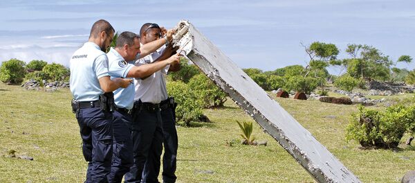 Un fragment d’aile découvert à La Réunion - Sputnik Afrique