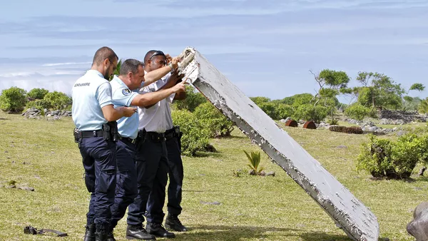 Un fragment d’aile découvert à La Réunion - Sputnik Afrique