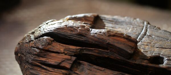 Idole de Shigir Idole de Shigir - Sputnik Afrique