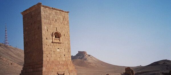 Tower of Elahbel - Sputnik Afrique