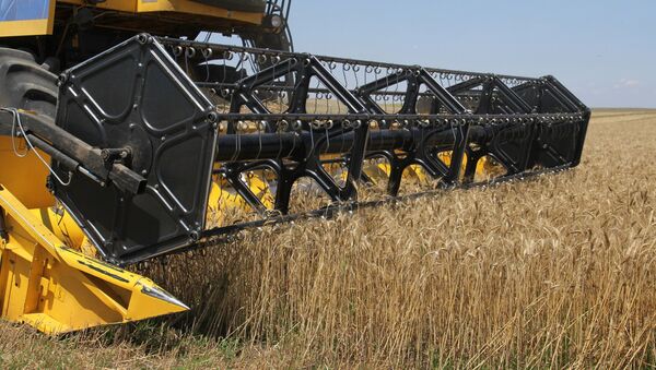 Récolte de blé en Russie - Sputnik Afrique