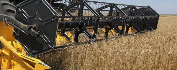 Récolte de blé en Russie - Sputnik Afrique