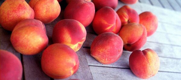 Pêches. Image d'illustration - Sputnik Afrique