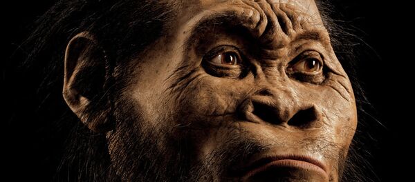 Homo naledi: l'homme se découvre un nouvel ancêtre - Sputnik Afrique