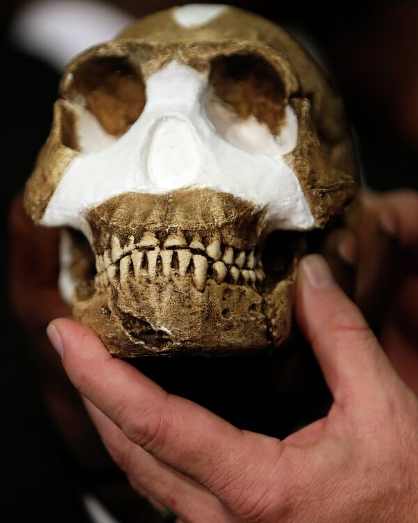 Homo naledi: l'homme se découvre un nouvel ancêtre - Sputnik Afrique