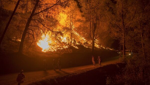 Incendies en Californie, Septembre 12, 2015. - Sputnik Afrique