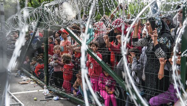 Réfugiés. Frontière entre la Hongrie et la Serbie - Sputnik Afrique