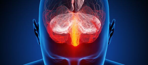 Un cerveau humain - Sputnik Afrique